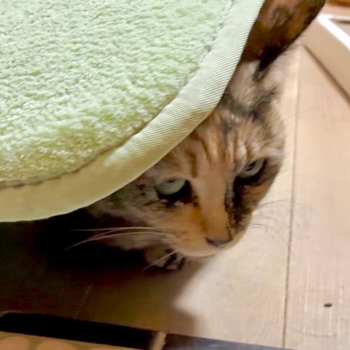 1fb730f0 a6ce 4e11 9f6e e37b5a1cd8d6 1772223936447