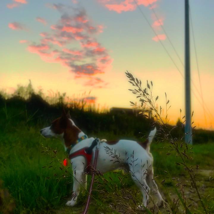 1fb760fa 3c57 4c7f bfea 3cb835216292 1509116350479