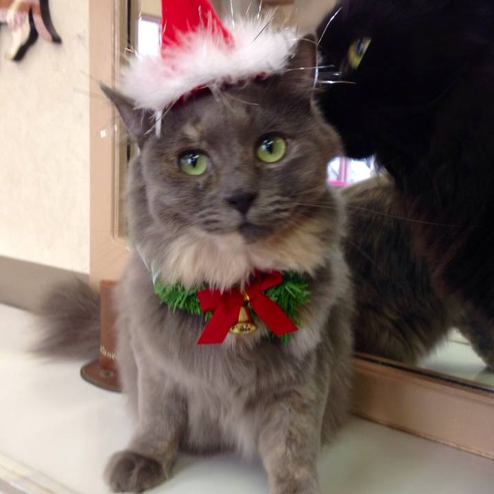 1fb76590 c227 4ccb 8323 3bcbdfb1a31a 1512521288240