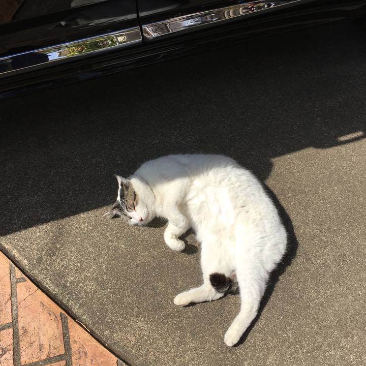 1fb78caa 7c15 4f84 81cd 32c0d661ffbd 1521854479687