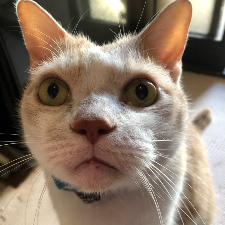 1fb7b27d 1426 4b5f b7d9 3be4f5d6a0b6 1605218720865