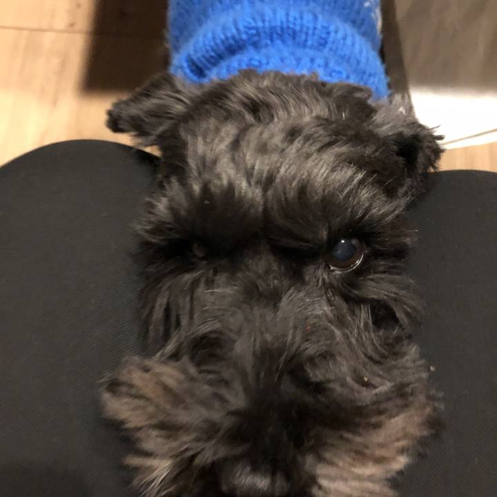 1fb7b930 658f 4709 8c8f b3a22cd761da 1575291705301