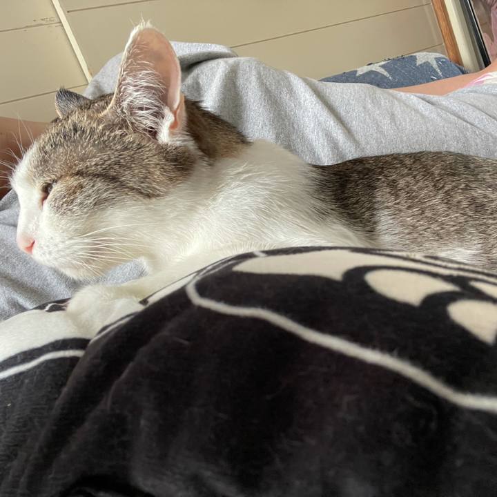 1fb7d08b e22b 4e6b b4ce 00a27296b17f 1624755539925