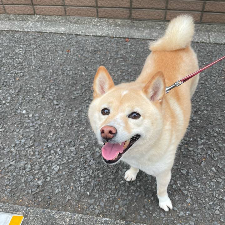 1fb80bf5 b7b6 4049 8a9d da8cc70427eb 1687726908934