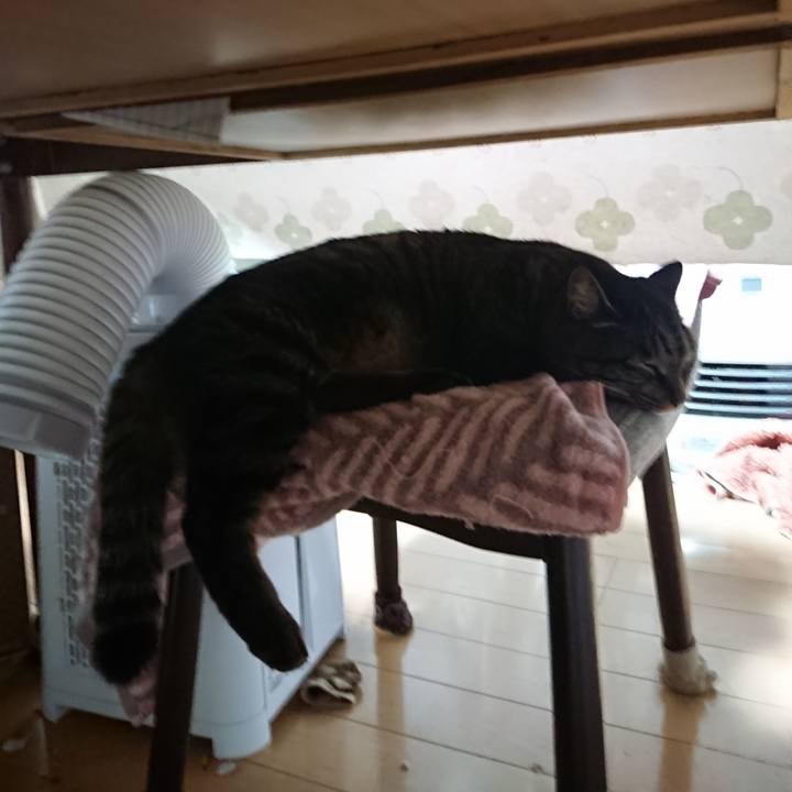 1fb81af8 9ebe 4474 b132 72bfe248a230 1639174225774