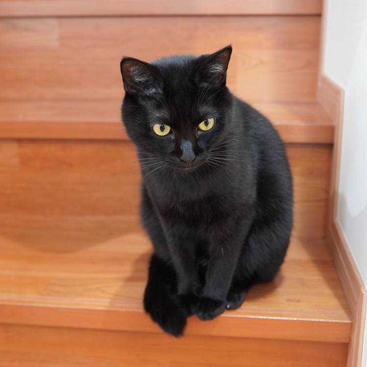 1fb81e52 a8dd 4e46 b249 865a4d36cb02 1604328882967