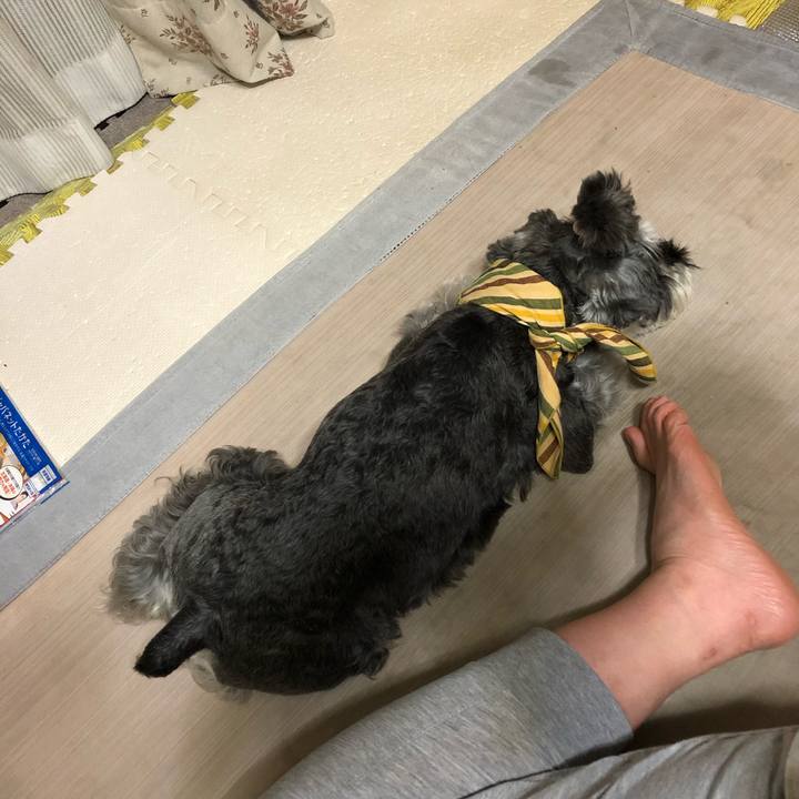 1fb8afd9 d30d 4d2d 9229 0d6952c1bc98 1658405540970