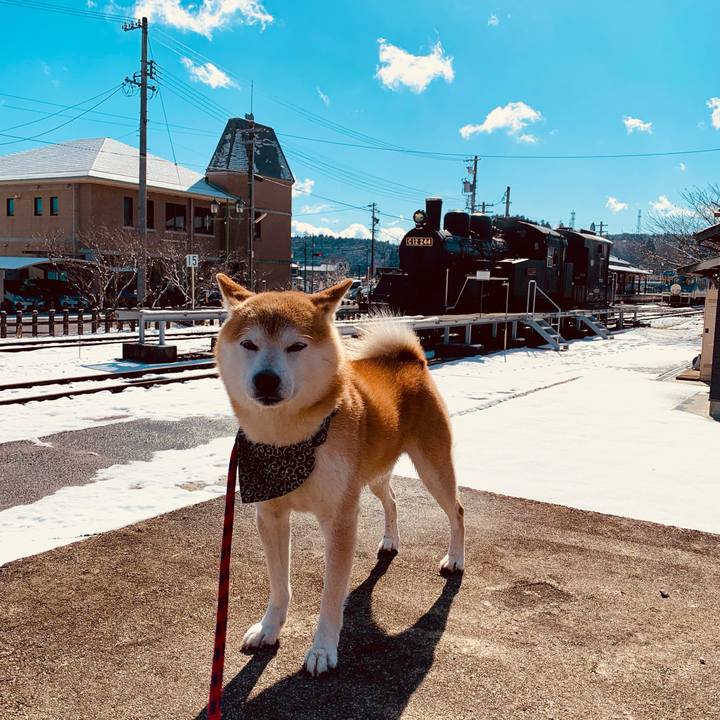 1fb8bbd7 197c 4f27 9783 9ed80c48e999 1674895093037