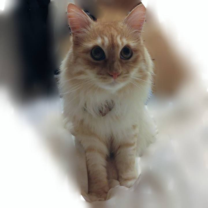 1fb8df9e 5b78 44c5 a5fb e882cb4ee30b 1652697262212