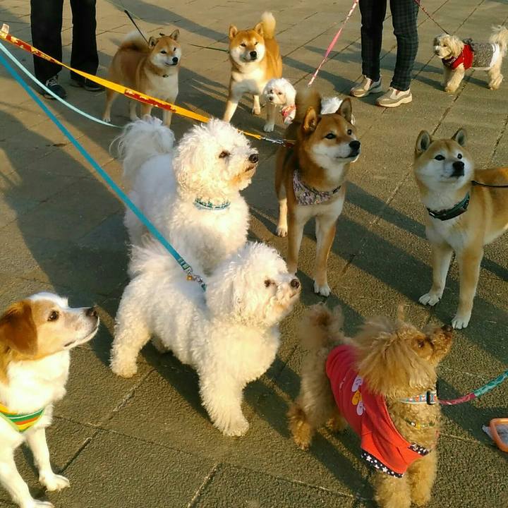 1fb8f819 9856 4c92 8adc b3a84fb18a37 1520931092628