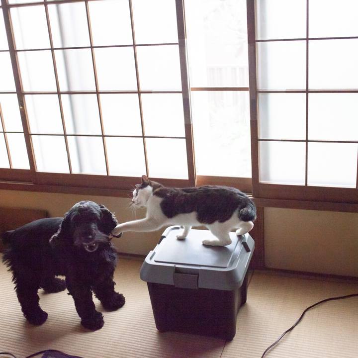 1fb95c62 4854 4975 a14b 431f03de0051 1548421935149