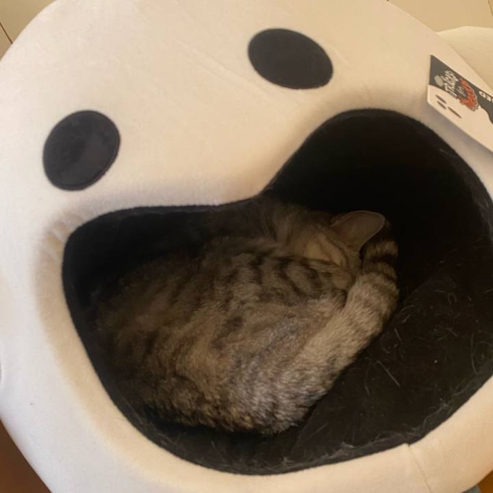 1fb96195 9252 4230 886e 3f52710b2bfa 1732432426700