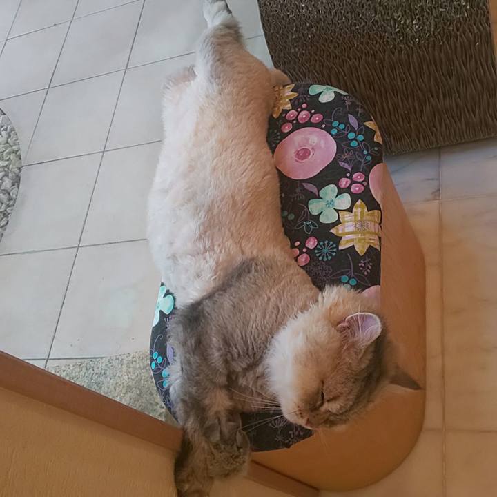 1fb96672 b7bf 476c 9aaf 6b3085037827 1596660743714