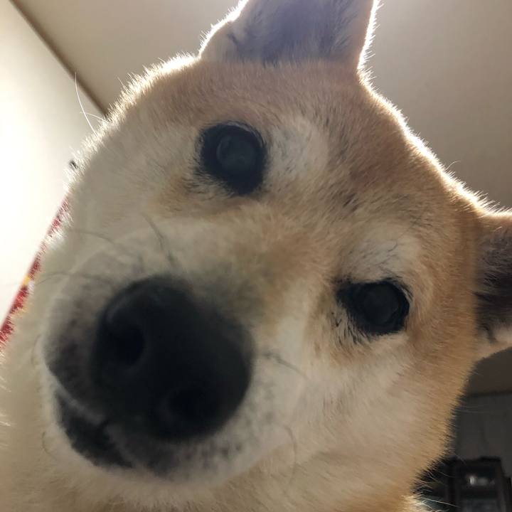 1fb98b9c be4b 44c2 9574 012c997ffd39 1576068522820