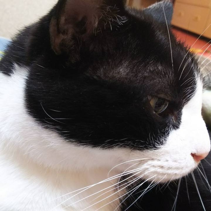 1fb98e16 d007 4be7 8109 566ce07d6cb4 1542411474858