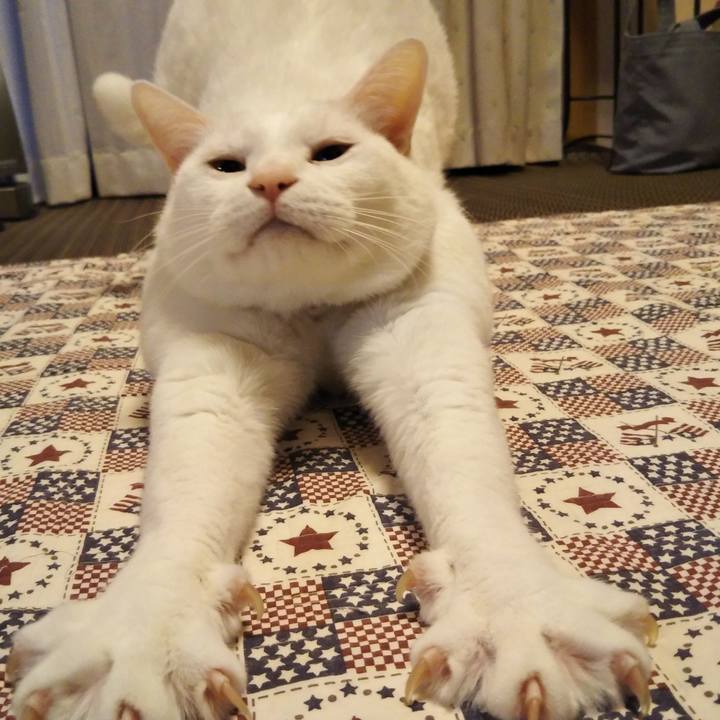 1fb9cfe6 eda5 4dbb b68f dbaf9694b2bf 1603354291867