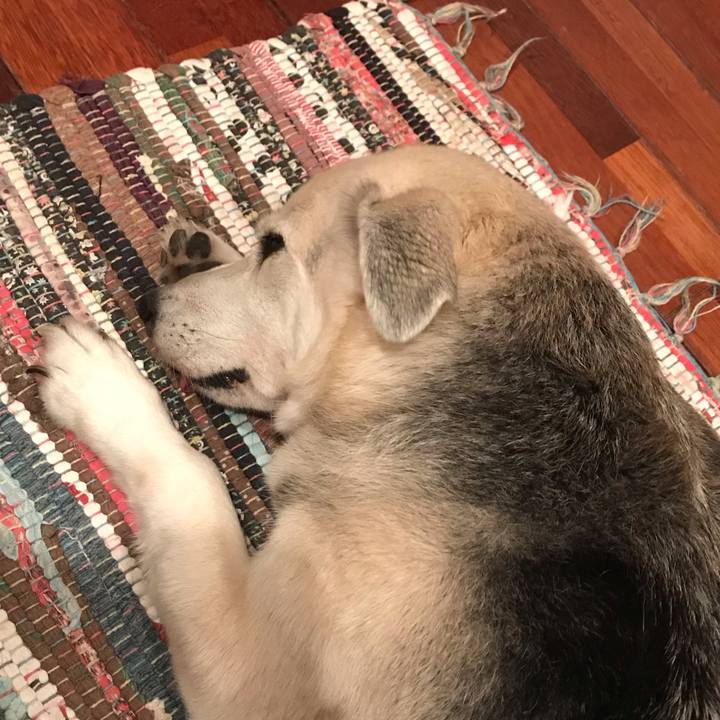 1fba0034 e720 45b3 a035 ed2030241723 1594471237406