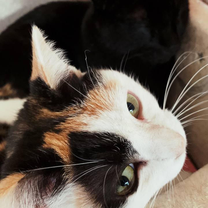 1fba1a70 8bb2 433c 819e 6137dac65995 1554604673939