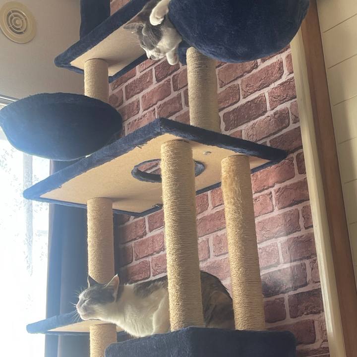 1fba2915 0993 4cfe 8081 a24c8472be26 1633308328753