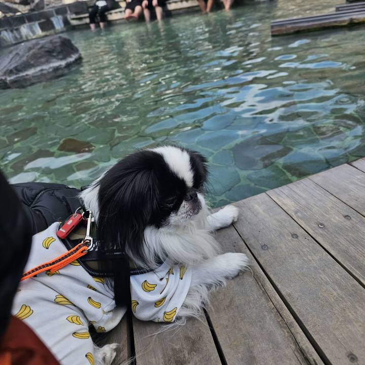 1fba2a7f bbe0 48e3 a60e de461d0bd5a3 1738059221286