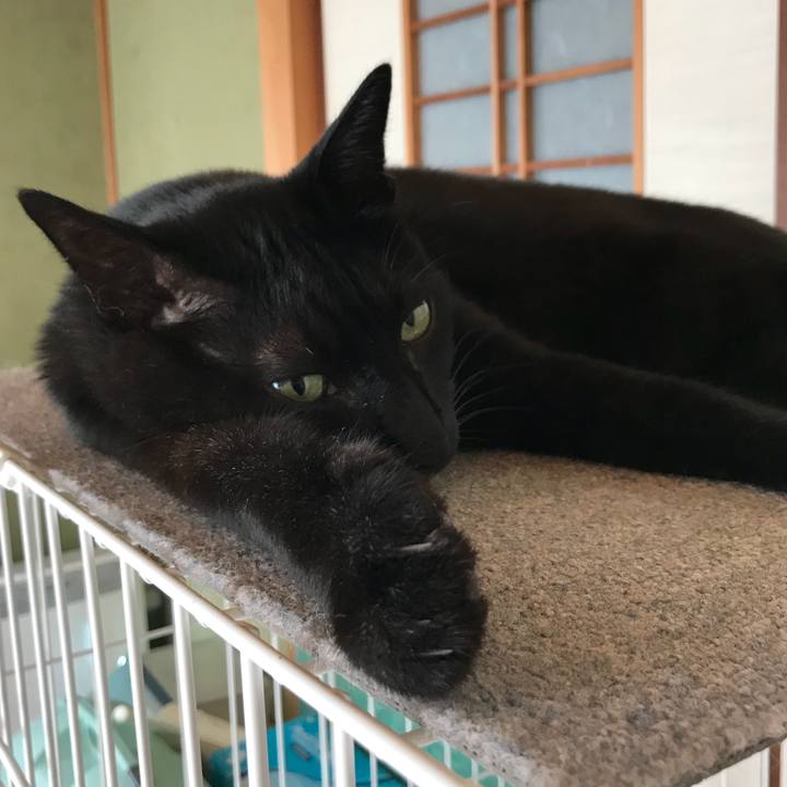 1fba3044 69fc 48a6 8031 a54522bb4c93 1532995206664