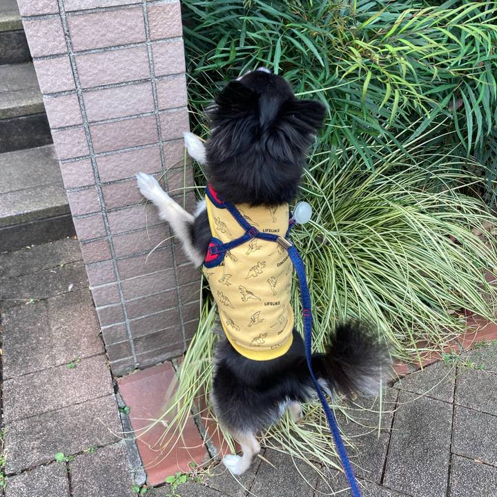 1fba4581 fd62 45ce bf56 9a6e7c046203 1698576012980