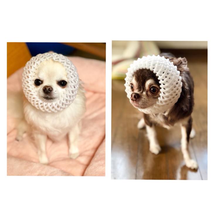 1fba4c2a a71a 45e0 904b f18afa818ac2 1535079662292