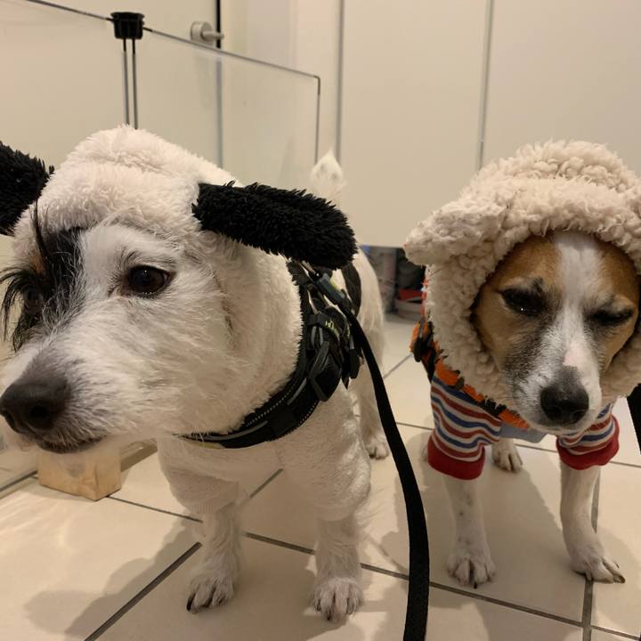 1fba51db ad13 4742 839b 759f4a650e68 1580801046768