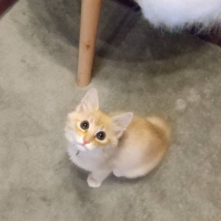 1fba7706 7e11 42c6 87d7 4da15b587788 1605043761241