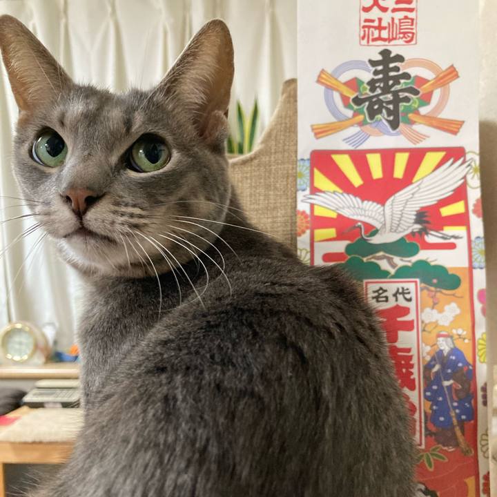 1fba8b80 1f1d 4810 84d1 a6b96c02dda1 1668255803932