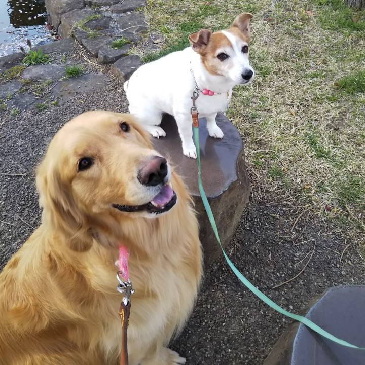 1fbaa547 da59 4f14 9ae0 660d93c6d32e 1523878525955