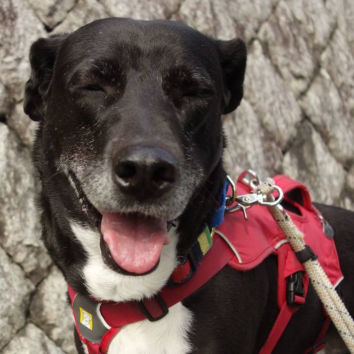 1fbaaa13 e011 480d ab4f b1261445c81b 1680655766056