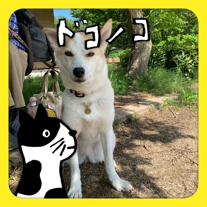 1fbac103 ad92 48fb 91c1 5175dbb16011 1622951767777