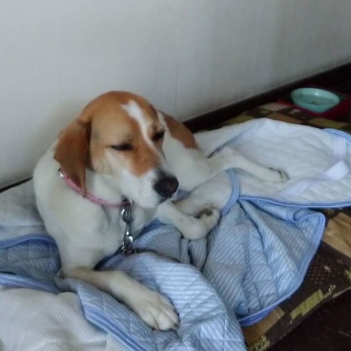 1fbac6aa 9842 4535 81c1 024445da9cfb 1590721354114