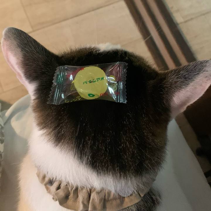 1fbaf0cb 22f5 4da5 af05 7c25af86068a 1695353207824