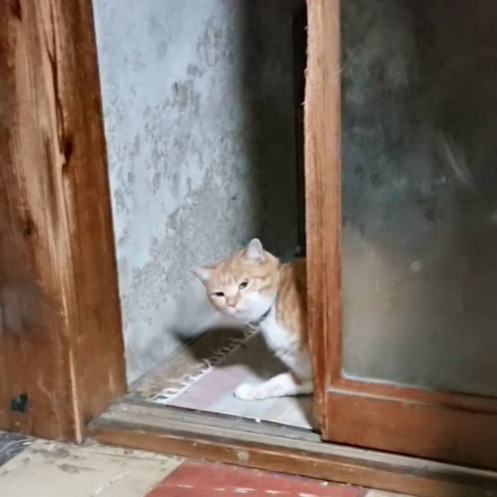 1fbb0cdc 104b 4407 80ed 0f87b53169e3 1583351556690