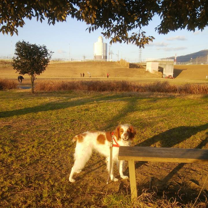 1fbb19ef 85ba 438a b292 8446089c17dc 1547472101194