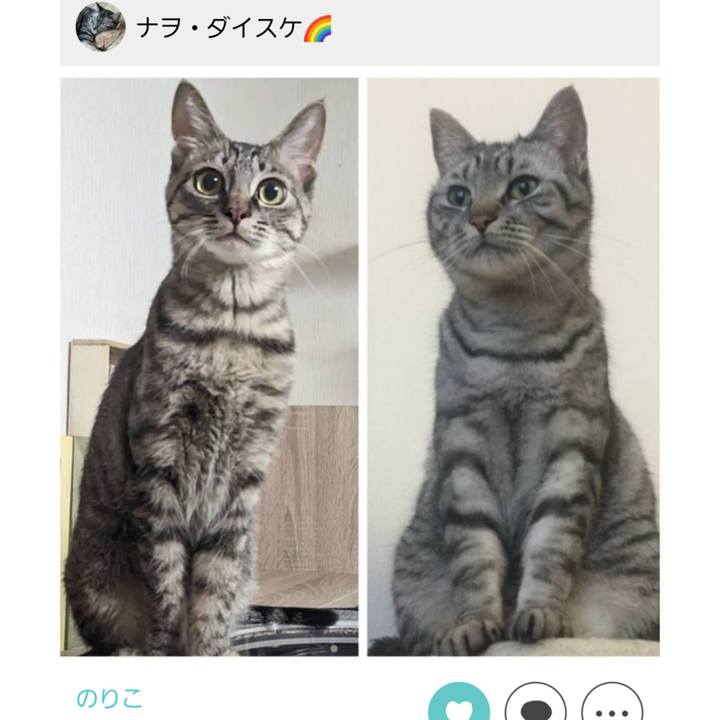 1fbb23e5 441c 44b4 b1e5 fd796569233e 1709357647577