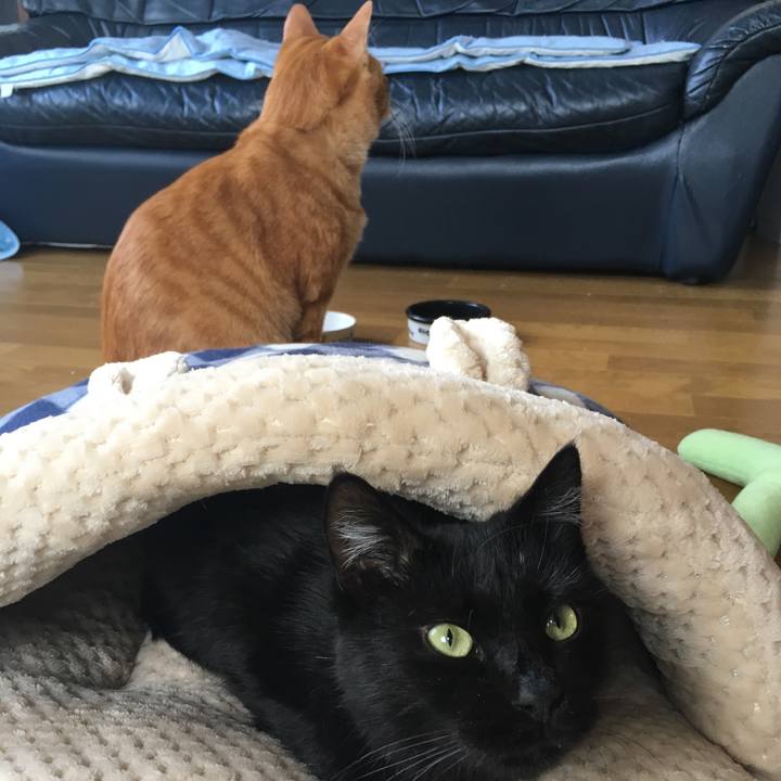 1fbb2619 0fd7 48ae a3e8 95342d8e4d28 1541900744219