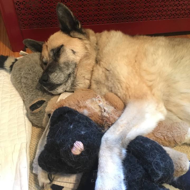 1fbb4987 7db8 482d b181 23a81945043d 1556919737424