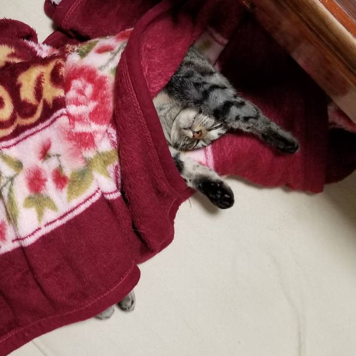 1fbb5746 3869 4b2d ba5f 3891b5df557a 1690263782327