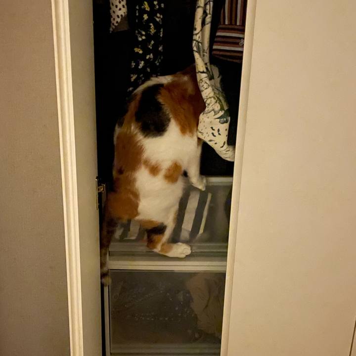 1fbba42a 2f65 4cdd 8574 b4309c6419a6 1693836523741