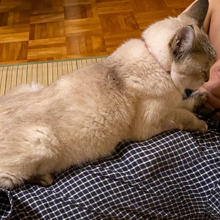 1fbbaa09 19ad 4dc3 910c 38cde6427123 1594035956490