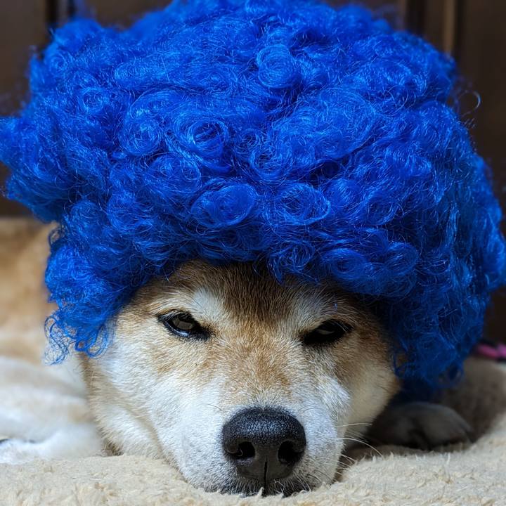 1fbbcd3d 2b92 4643 9c05 a0840855a99b 1717143620381