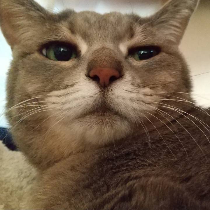 1fbbe4ff 9a58 4987 a2e6 ee8212c31ef0 1609368384288