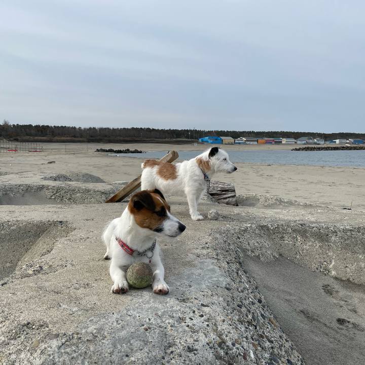 1fbbe6ba a962 4e3c 97dc b65e9cd996fc 1649202459327