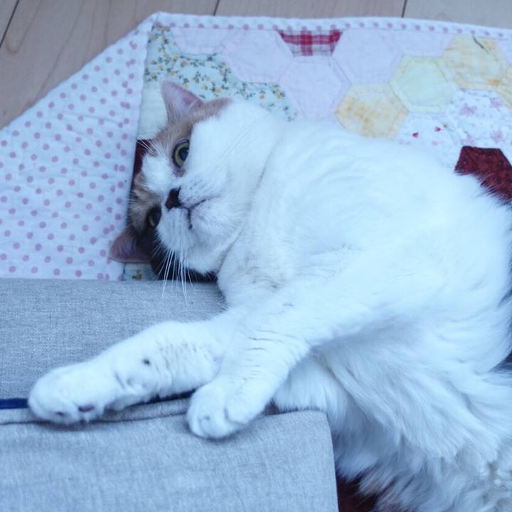 1fbbed97 5127 4314 a816 e5527f1d8c76 1546221019663