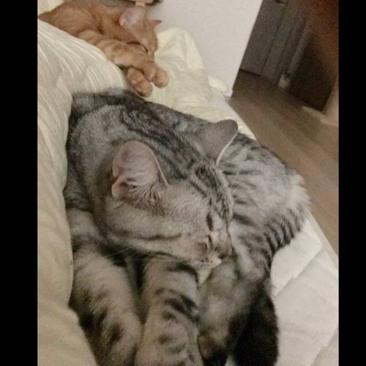 1fbca777 1d2c 473f b1d3 be9da1785fc2 1537576682583