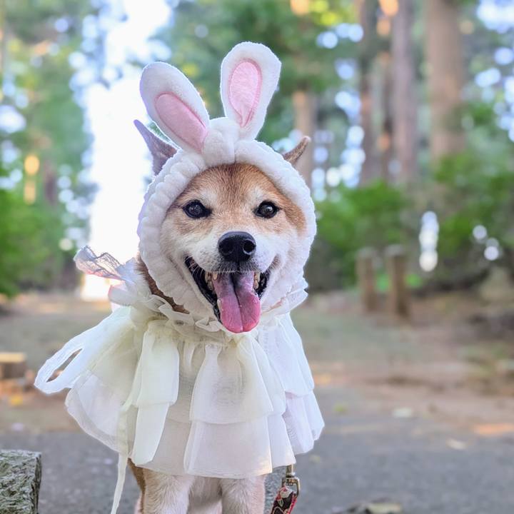 1fbcbd0e 5561 42b7 94c3 643c724f9329 1726561850011