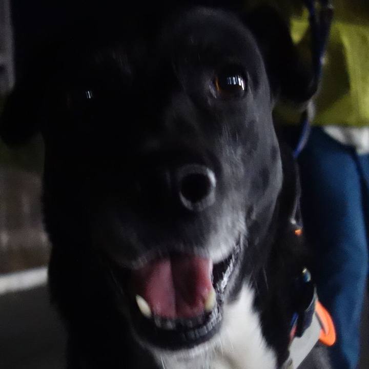 1fbceff4 2f27 4d28 b037 7b1b46721a06 1707734705613